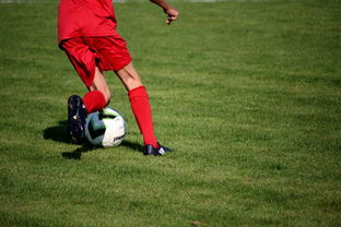 开云体育app下载-英超青训体系中情绪调节训练对青少年比赛焦虑的控制作用，英超青训球员定义